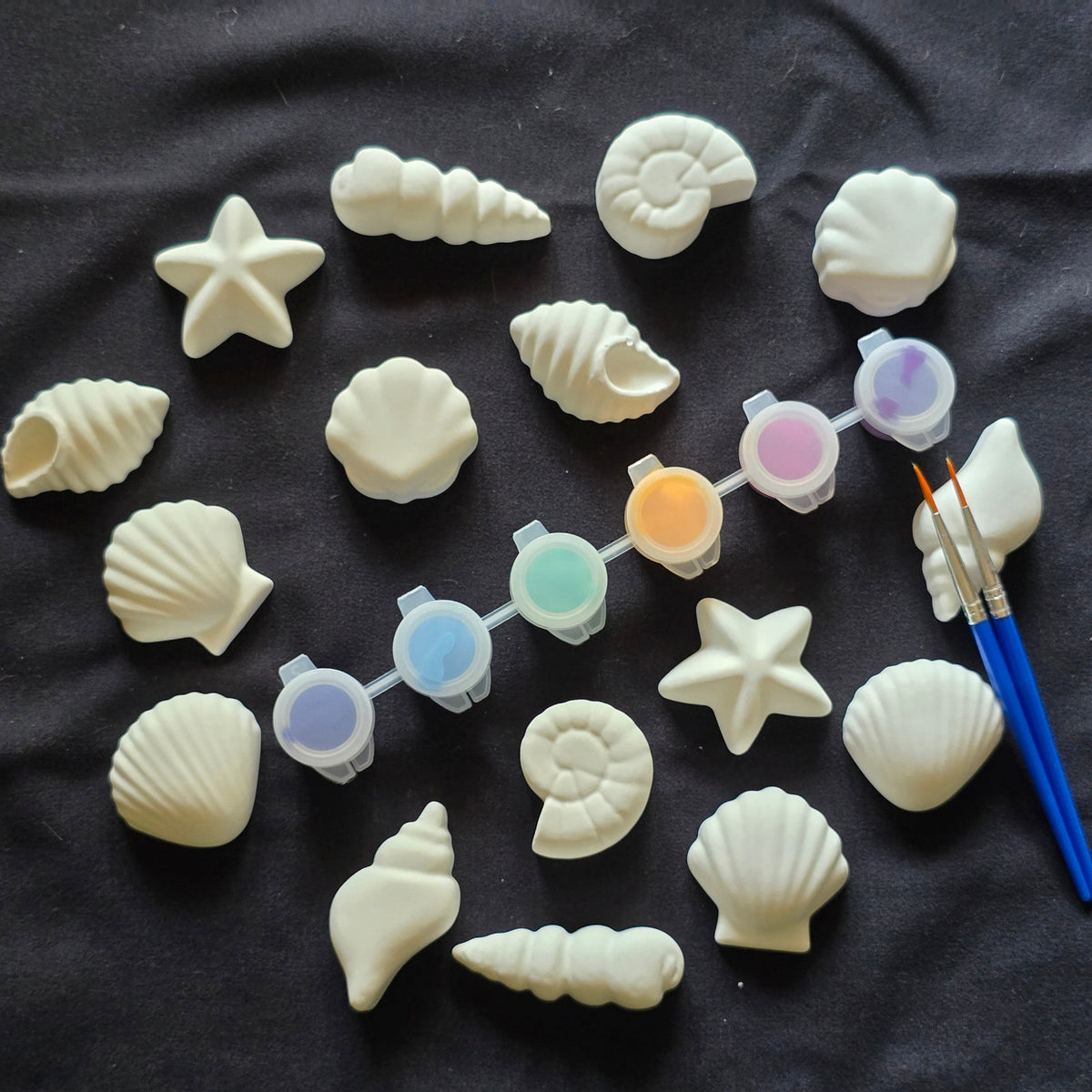 16 Muscheln zum anmalen mit 6 Acrylfarben und 2 Pinseln