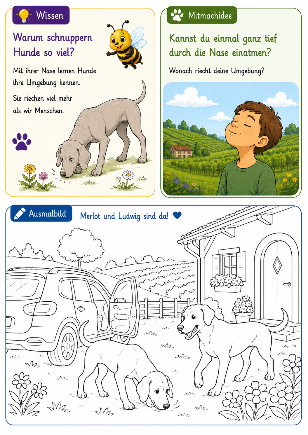 Ludwig und Merlot – Kreativheft für Kinder 2–5 Jahre | Hof Abenteuer | Vorlesen, Ausmalen, Wissen | Inspiriert von wahren Begebenheiten
