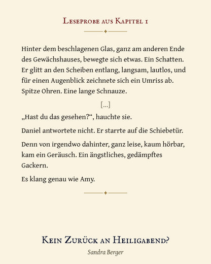 Kein Zurück an Heiligabend? – eBook (EPUB + PDF) | Weihnachtsbuch für die ganze Familie