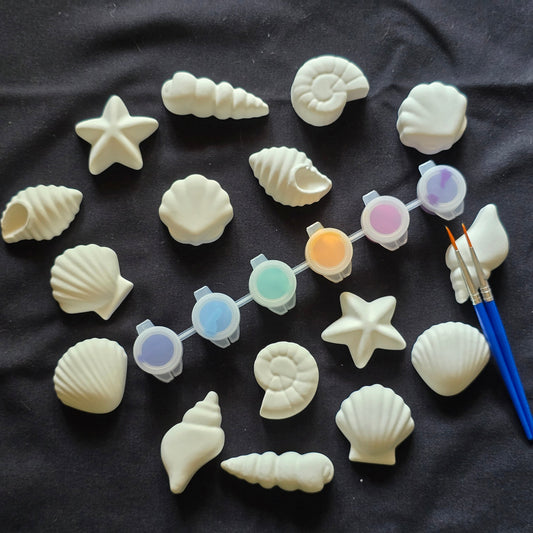 16 Muscheln zum anmalen mit 6 Acrylfarben und 2 Pinseln